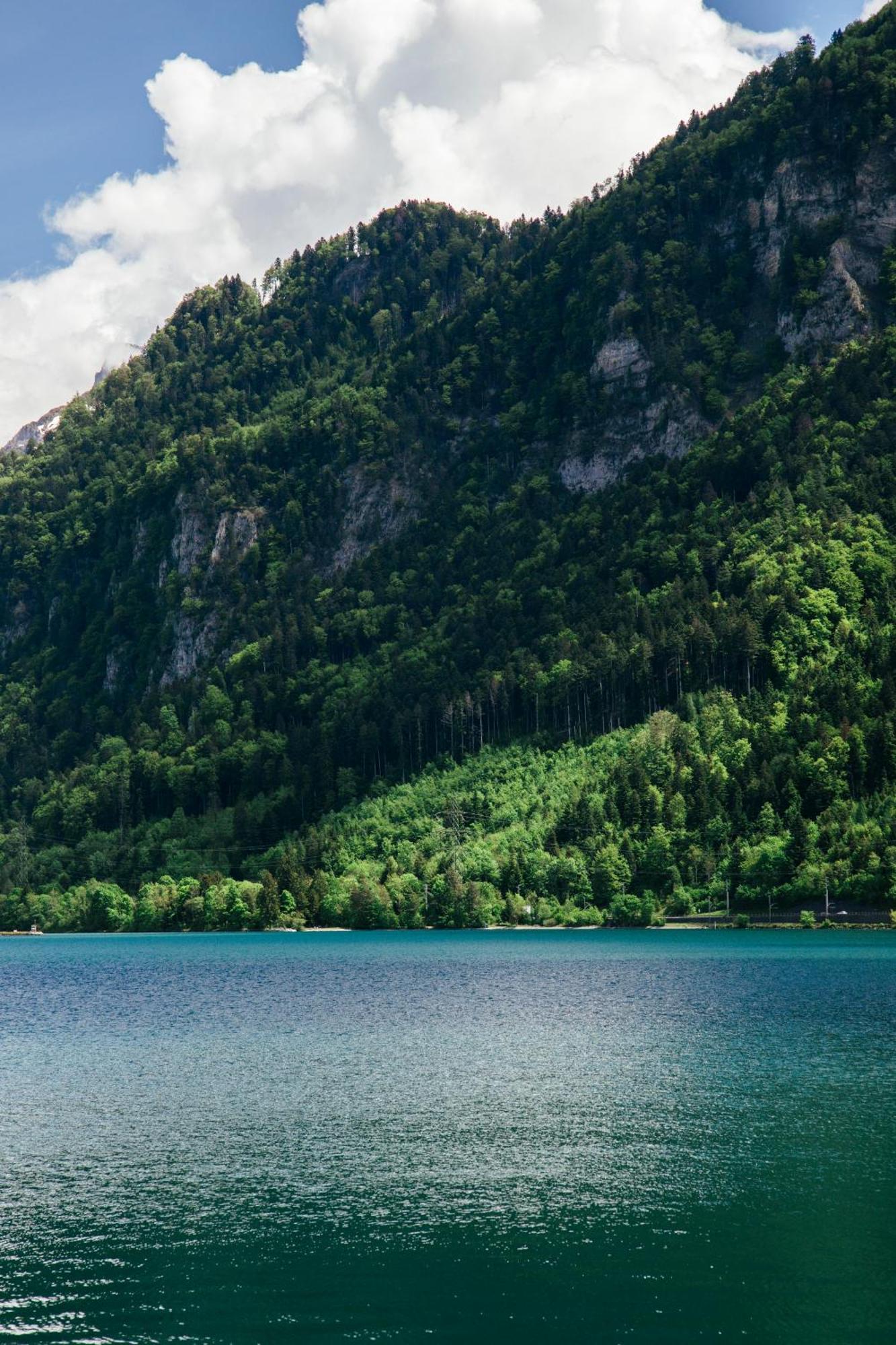 Au Bord Du Lac Darligen Bagian luar foto