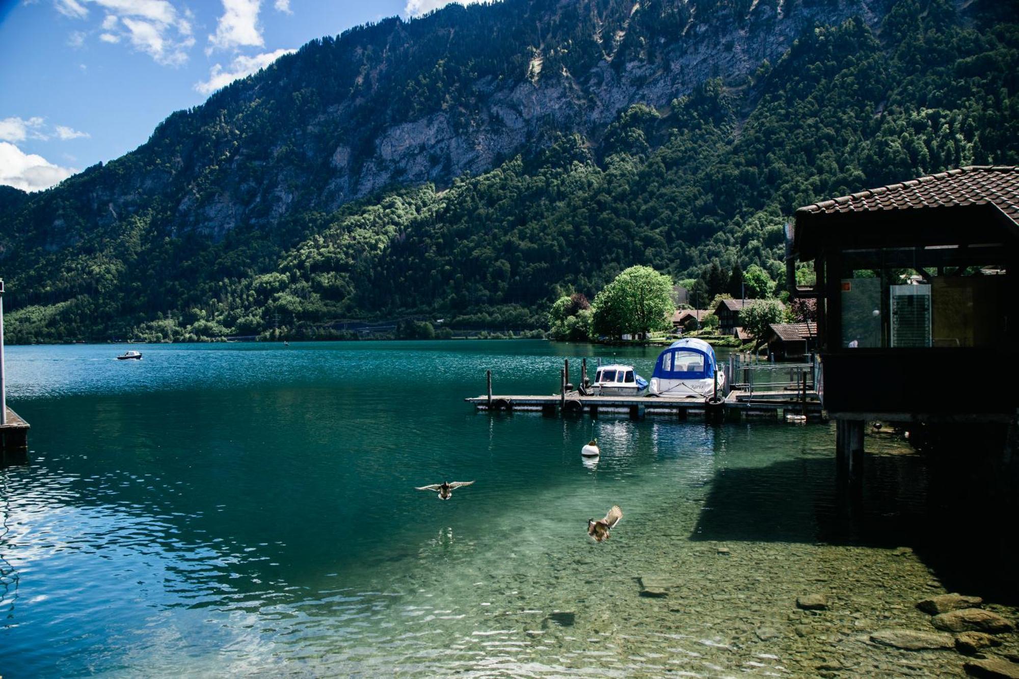 Au Bord Du Lac Darligen Bagian luar foto